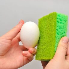 ضدعفونی کردن تخم ها برای جوجه کشی
